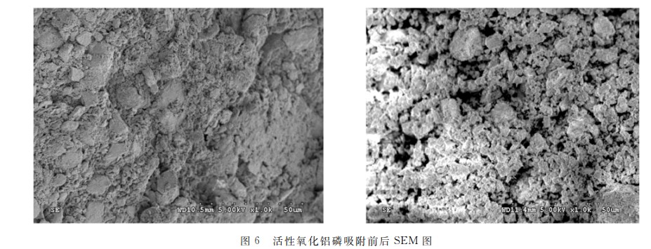 活性氧化铝不同浓度污水中磷的研究